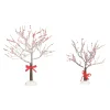 Crabapple Tree With Ribbon