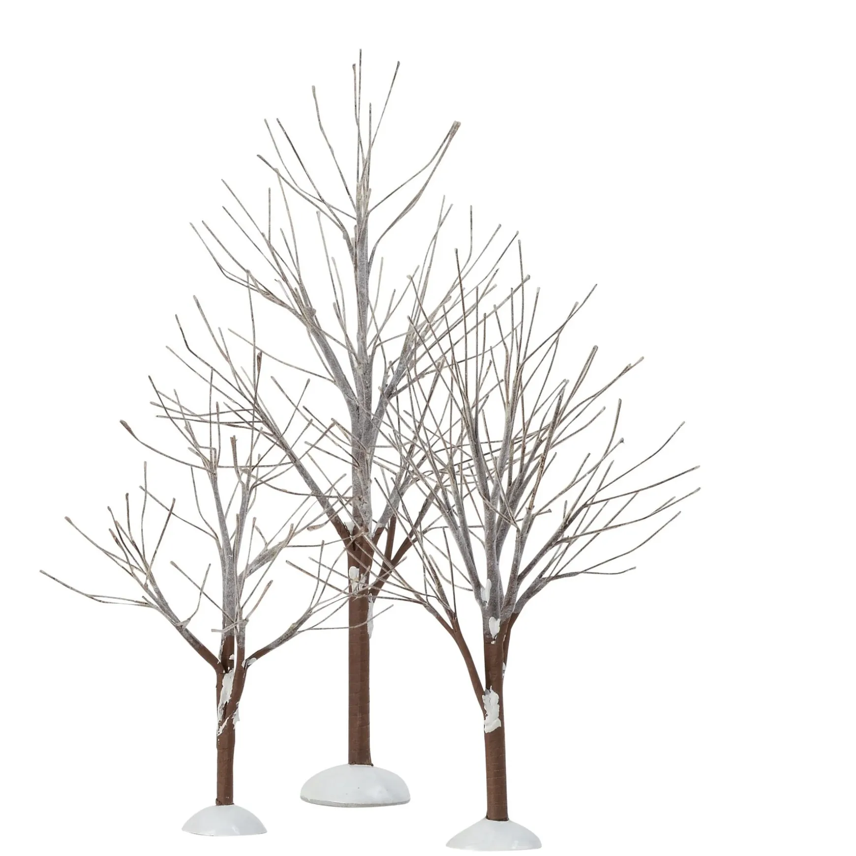 First Frost Trees
