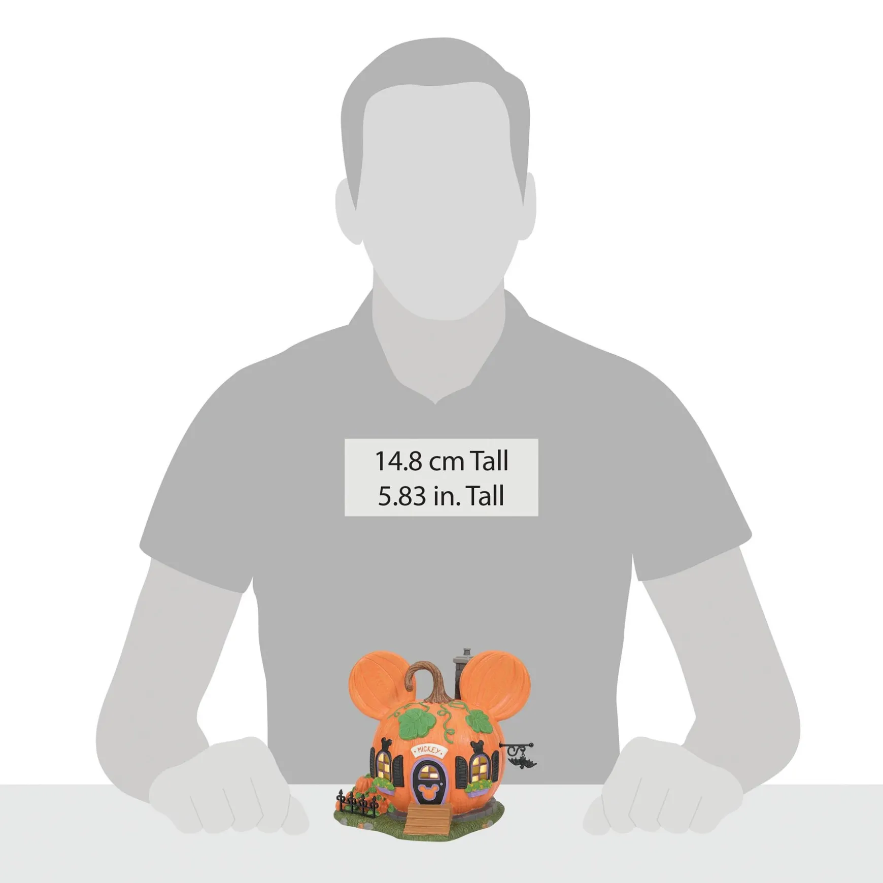 Mickey's Pumpkintown House