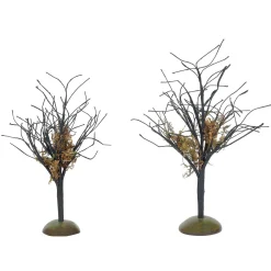 Midnight Moss Trees