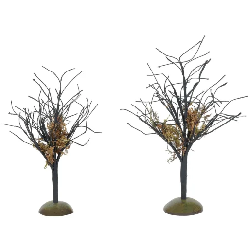 Midnight Moss Trees