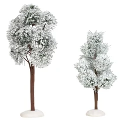 Snowy Jack Pine Trees