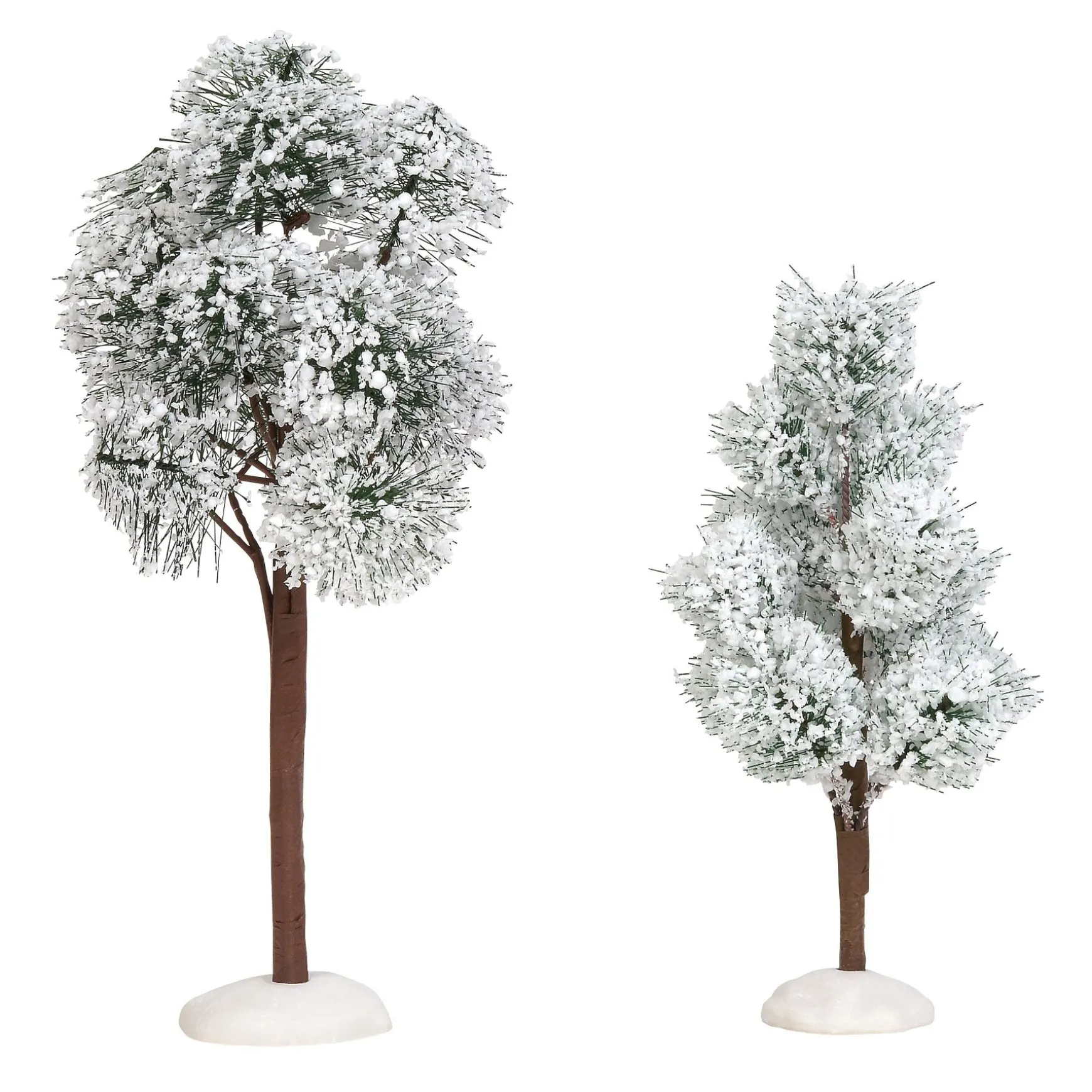 Snowy Jack Pine Trees