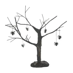 Spider Tree