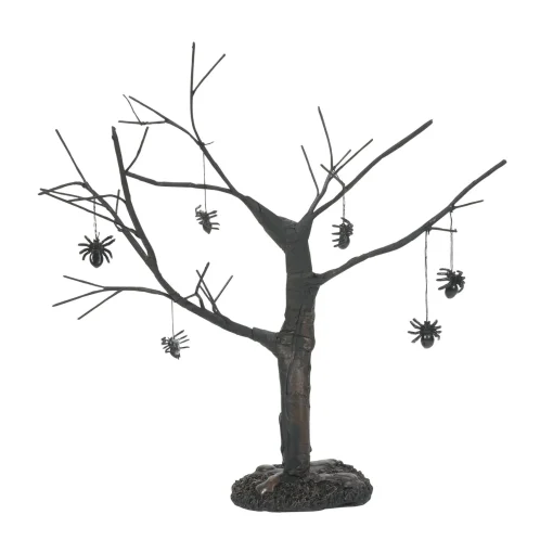Spider Tree
