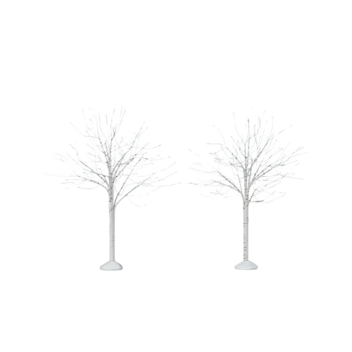 Winter Birch