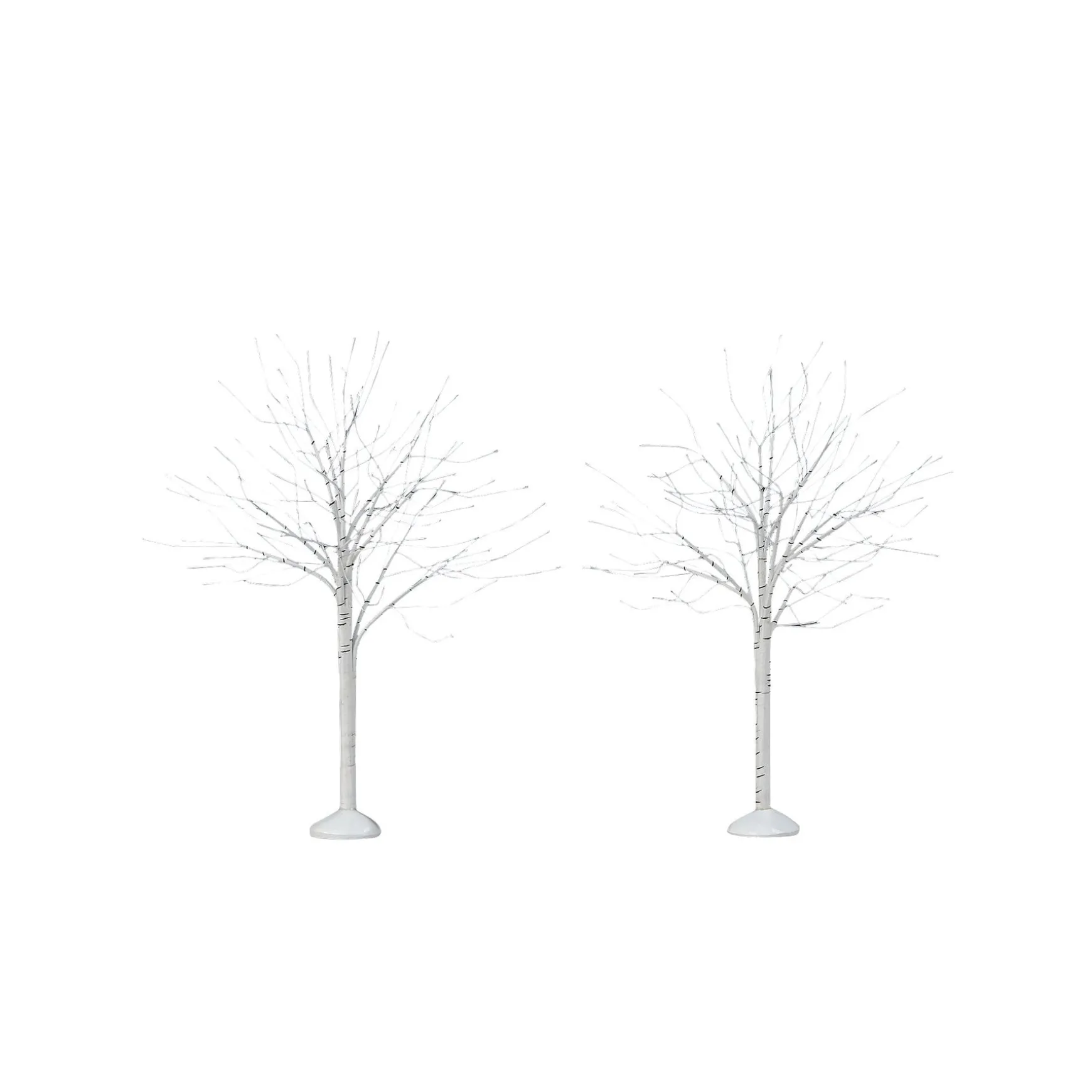 Winter Birch