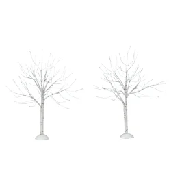 Winter Birch
