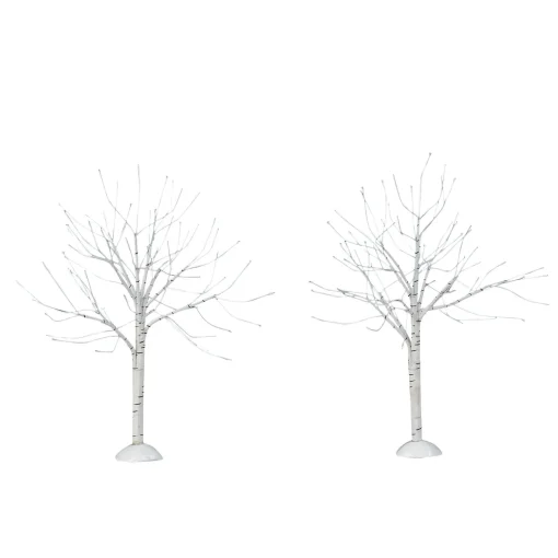 Winter Birch