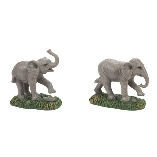 Zoological Garden Elephant st2