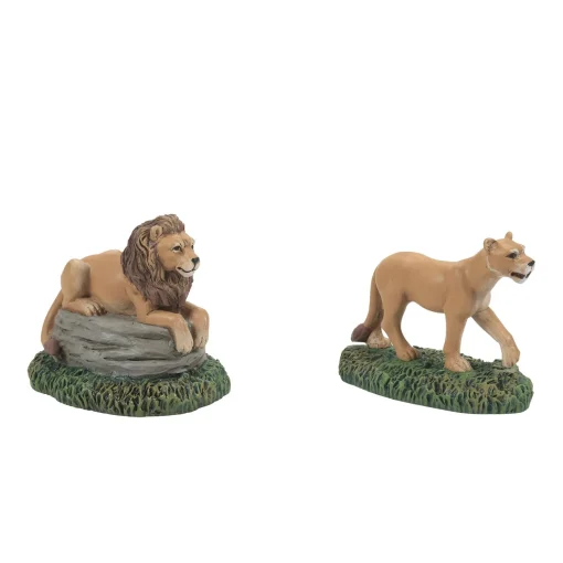 Zoological Gardens Lions st2