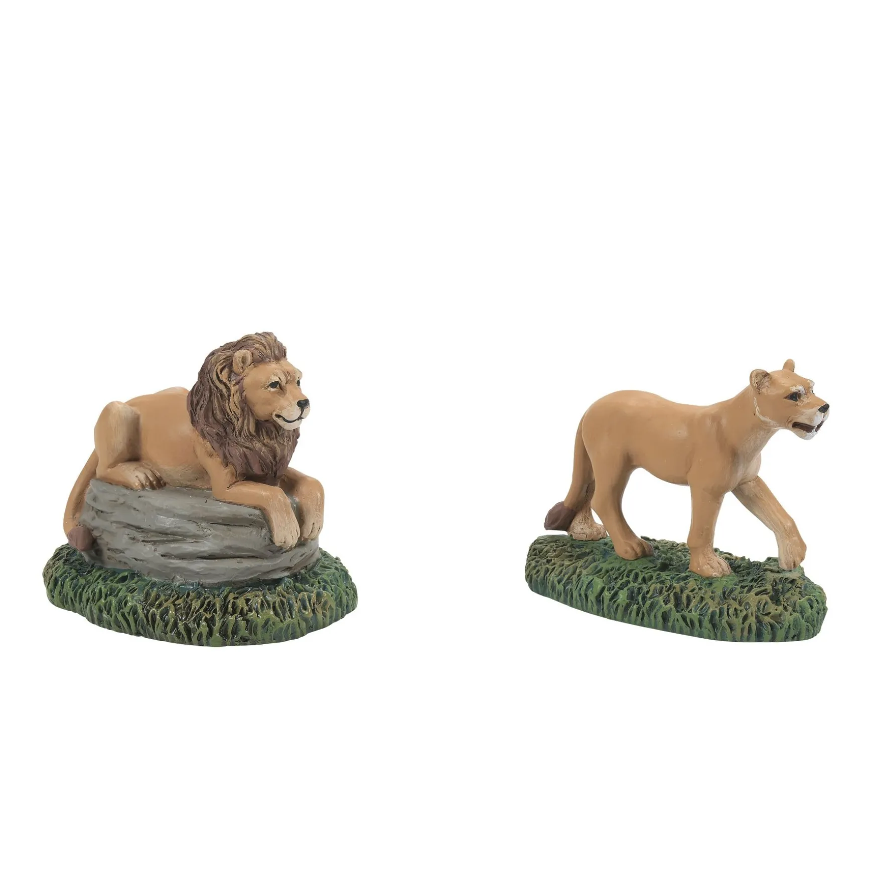 Zoological Gardens Lions st2